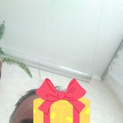  ,   Oier, 51 ,   ,   