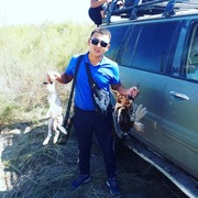 ���������� ���������, ���� ������� Tanir, 33 ����, ������������ ��� ������, ����� � ���������, c�������� ���������