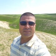   ,  sher, 41
