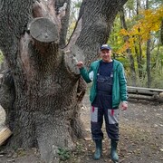  ,   , 46 ,   ,   , 