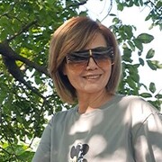 ,   , 53 ,   ,   