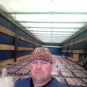 ���������� �����������, ���� ������� ������, 50 ���, ������������ 