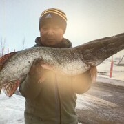 ���������� ������, ���� ������� �����, 49 ���, ������������ ��� ������, ����� � ���������, ���������