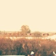 ���������� ��������, ���� ������� �������, 34 ����, ������������ ��� ������, ����� � ���������, c�������� ���������, ���������