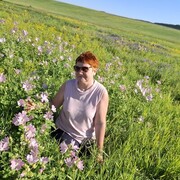 ���������� �������, ���� ������� ������, 54 ����, ������������ ��� c�������� ���������