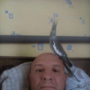  ,   , 49 ,   ,   , c 