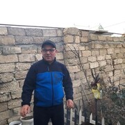 ,   Nvan, 48 ,   ,   