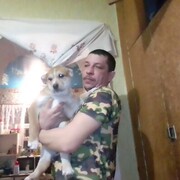  ,   , 39 ,   ,   , 