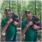 ���������� �����-���������, ���� ������� �������, 51 ���, ������������ ��� ������, ����� � ���������