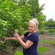 ���������� �������, ������� �����, 62