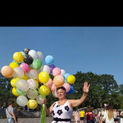  Mlawa,   , 49 ,   ,   , c , 