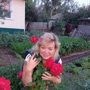 ���������� ������, ���� ������� �������, 56 ���, ������������ ��� c�������� ���������