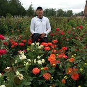 ���������� ���������, ���� ������� Nurbolat, 31 ���, ������������ ��� ����� � ���������, c�������� ���������