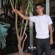  ,   Grisha, 31 ,   