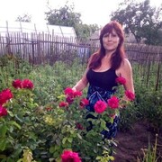  ,   , 48 ,   c 