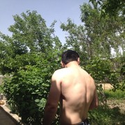  ,   Dilshod, 31 ,   , 