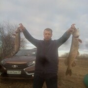 ���������� �����������, ���� ������� ����, 40 ���, ������������ ��� ������, ����� � ���������