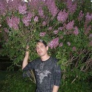 ���������� ���������, ���� ������� ����, 39 ���, ������������ 