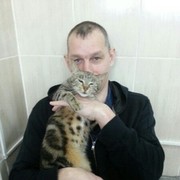 ���������� ������, ���� ������� ������, 50 ���, ������������ ��� ������, ����� � ���������, c�������� ���������