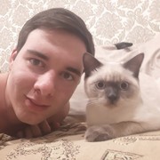  ,   , 28 ,   , 