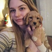 ���������� ���������, ���� ������� ���������, 30 ���, ������������ ��� ������, ����� � ���������