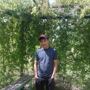  ,   Darkhan, 35 ,   