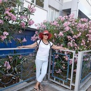  ,   , 61 ,     , 