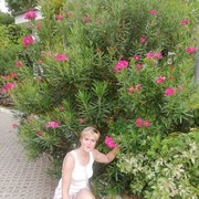  ,   , 40 ,     , c 