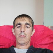  ,  , 43