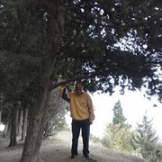  ,   , 51 ,     , c 