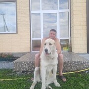 ���������� ������, ���� ������� ����, 38 ���, ������������ ��� ���������