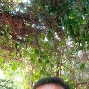  ,   , 57 ,   ,   , 