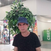  ,   , 51 ,  