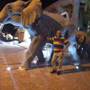 ���������� ������������, ���� ������� ����, 77 ���, ������������ ��� ������, ����� � ���������, c�������� ���������