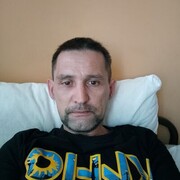 ���������� ����������, ���� ������� ����, 43 ����, ������������ ��� ������, ����� � ���������