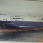 ���������� ����, ���� ������� Mamed, 54 ����, ������������ ��� ������