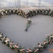 ���������� �������, ���� ������� ���������, 33 ����, ������������ ��� ������, ����� � ���������, c�������� ���������, ���������