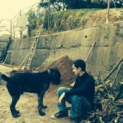 ���������� �������, ���� ������� Nika, 29 ���, ������������ ��� ������