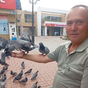  ,   Alisher, 48 ,   ,   