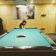 ���������� ������, ���� ����� ����, 25 ���, ������������ ��� ������, ����� � ���������, c�������� ���������