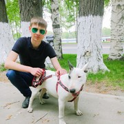 ���������� ����-�����������, ���� ������� Dinis, 27 ���, ������������ ��� ������, ����� � ���������, c�������� ���������