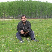 ���������� �����, ���� ������� ����, 55 ���, ������������ ��� ������, ����� � ���������, c�������� ���������