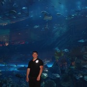 ���������� ������, ���� ������� �����, 31 ���, ������������ ��� ������, ����� � ���������, c�������� ���������