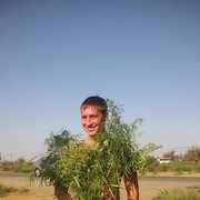 ���������� ���������, ���� ������� ����, 36 ���, ������������ ��� ������, ����� � ���������, c�������� ���������