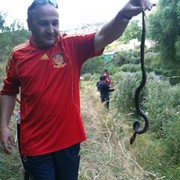  ,   ARAYIK, 61 ,   ,   , c 
