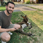 ���������� ������, ���� ������� �����, 37 ���, ������������ ��� ������, ����� � ���������