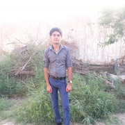  ,   5977577 zuxi, 31 ,   