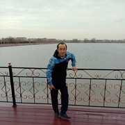  -,   , 43 ,  