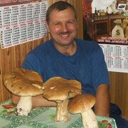  ,  , 53