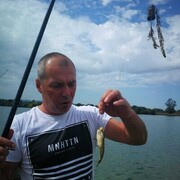  Calw,   , 45 ,     , c 